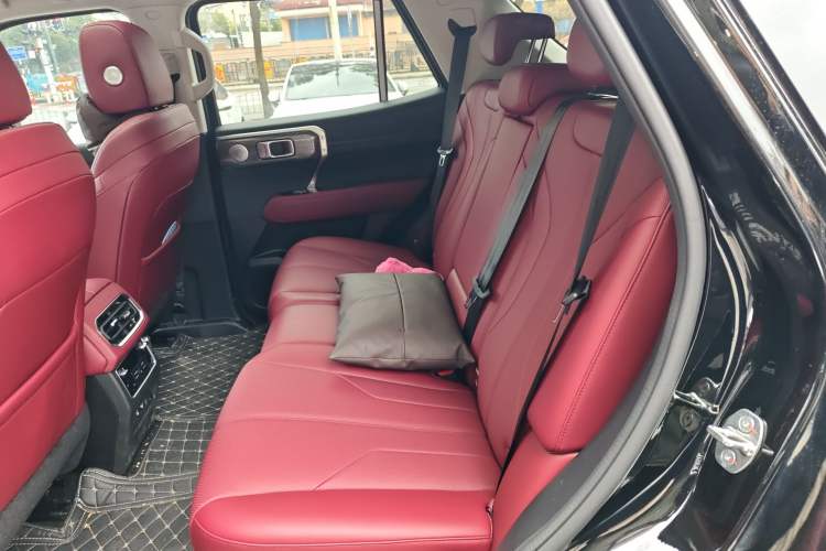 Used Tank 400 2025 2.0T Gasoline Version
