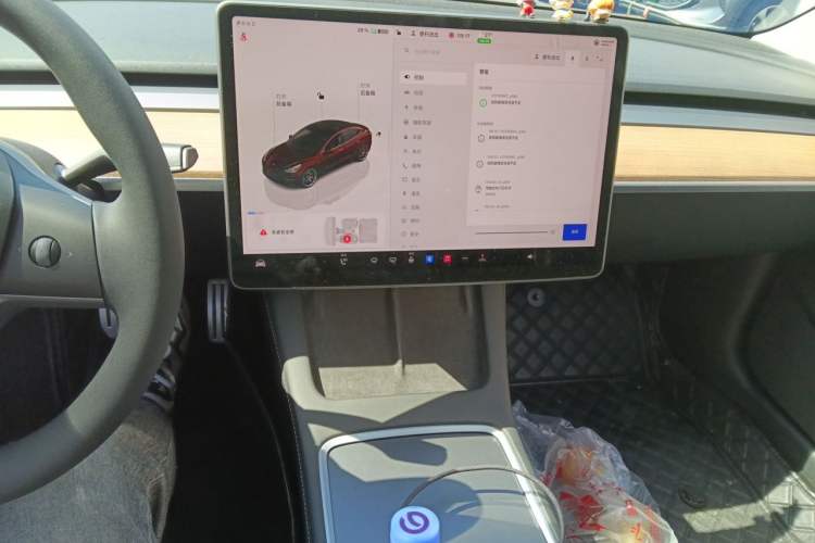 Used Tesla Model 3 2022 Performance High-Performance All-Wheel-Drive Version
