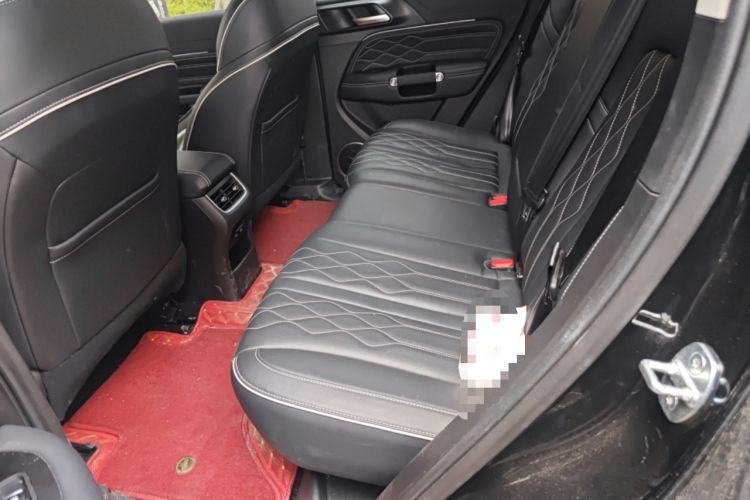 Used Tank 300 2024 2.0T Challenger Left Rear Seat