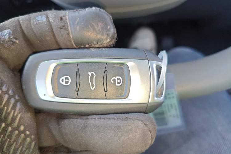 Used Geely Galaxy Panda 2024 Panda Mini 200km Endurance Bear