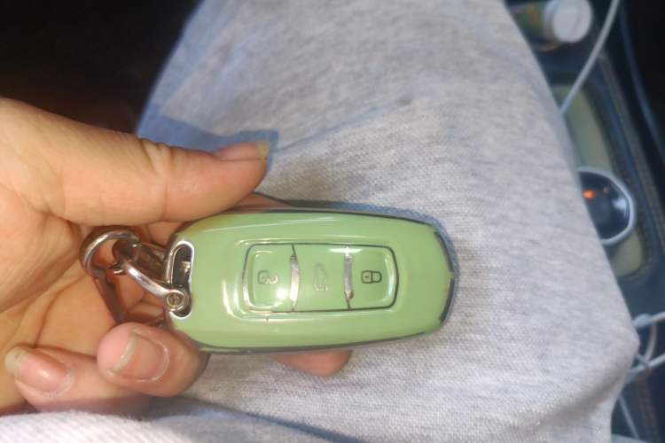 Used Geely Galaxy Panda 2024 200km Panda Rider
