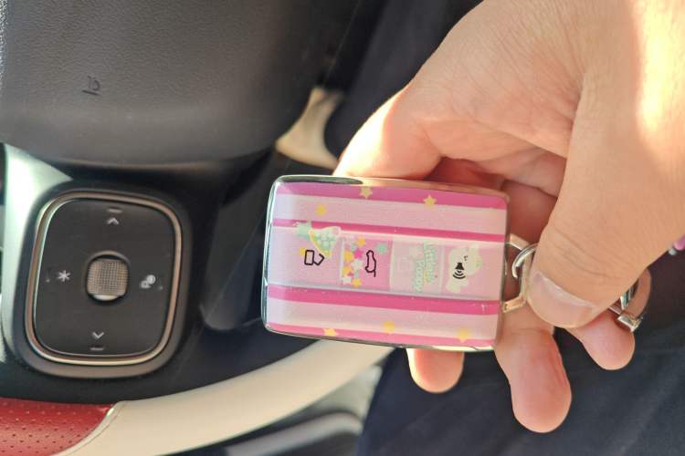 Used Tank 300 2025 2.0T Conqueror
