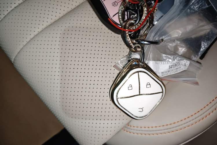 Used Wuling Bingo S 2025 Model 325km Flagship Edition