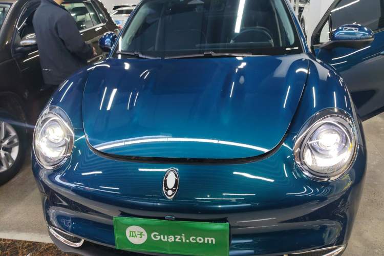 Used ORA Good Cat 2022 400km Standard Range Luxury Version Ternary Lithium
