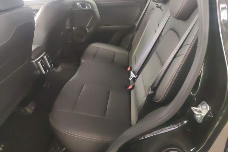 Used Haval DARGO 2024 2.0T DCT Chinese Rural Dog Edition
