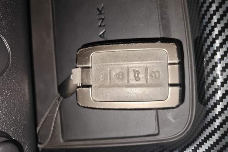 Used Tank 300 2024 2.0T Conqueror