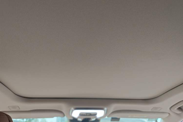 Used Hongqi H9 2022 2.0T Smart Connect Flagship Edition Headliner