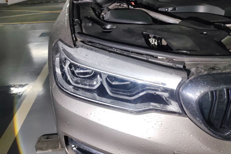 Used BMW 5 Series New Energy 2019 Updated Version 530Le Luxury Package