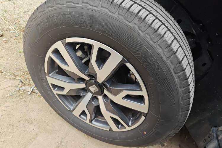 Used Tank 300 2023 City Edition 2.0T Essential Model
