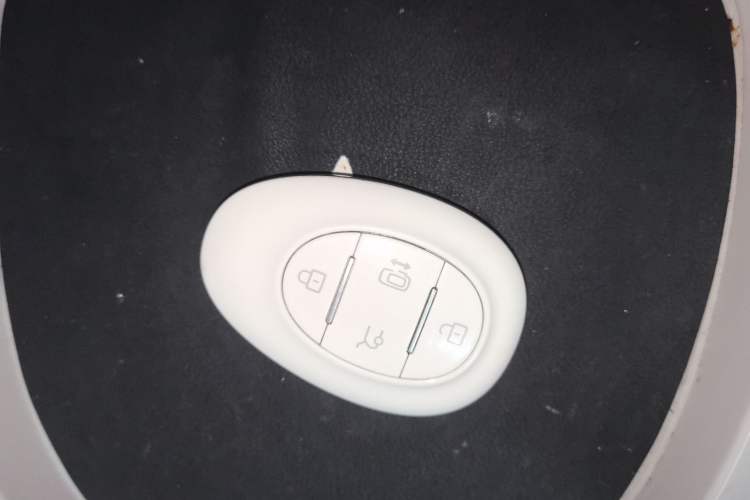 Used ARCFOX Kaola S 2024 AIR
