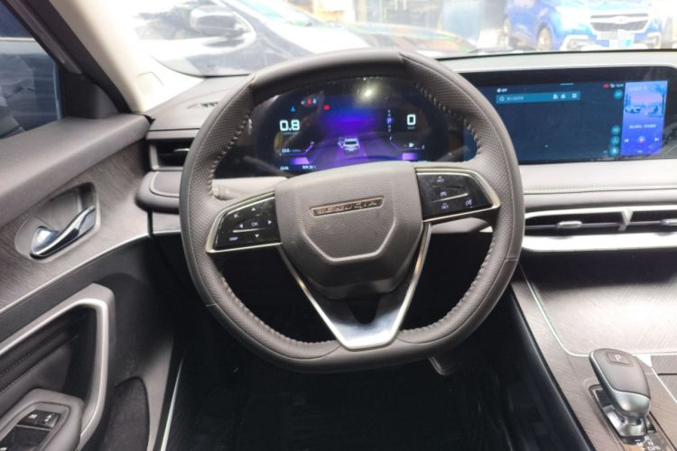 Used Venucia V 2023 260T Idol Edition Pro Steering Wheel