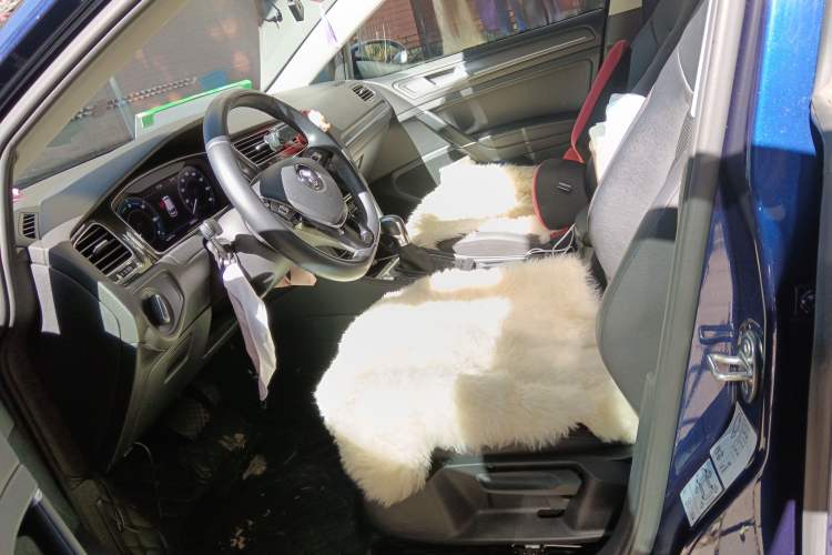 Used Volkswagen Golf New Energy 2018 e-Golf Left Front Seat