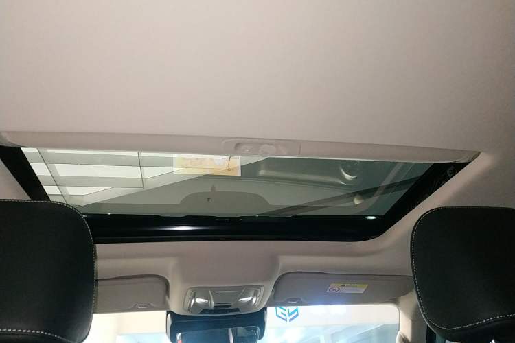 Used Tank 300 2024 2.0T Conqueror