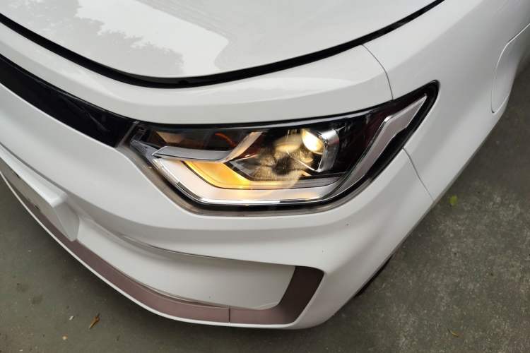 Used SOL E10X 2022 Flower Fairy Design Four-Leaf Clover