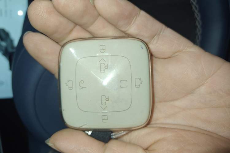 Used Zeekr 009 2024 Six-Seat Executive Version 4WD 108 kWh