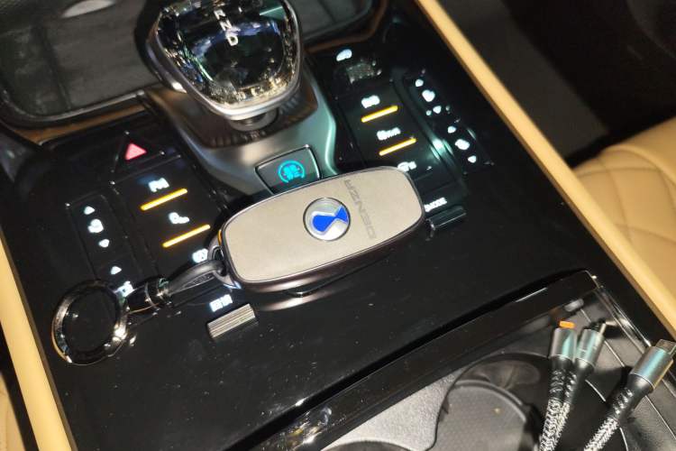 Used Denza D9 2024 EV 620 Premium Model