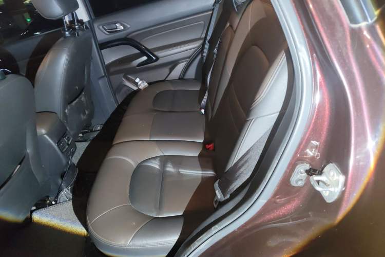 Used GAC Trumpchi GS4 2017 235T Automatic Two-Wheel Drive Luxury Smart Connectivity Version Left Rear Seat