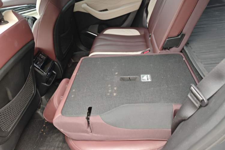 Used Geely Auto Monjaro L 2021 2.0TD DCT EVO Two-Wheel Drive Prestige Version Left Rear Seat