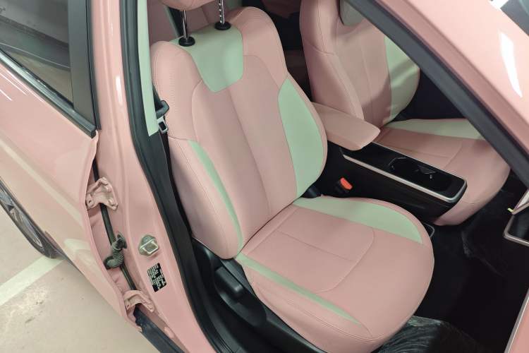 Used NETA V 2021 Witch Edition
