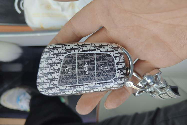 Used Chery New Energy Little Ant 2024 321km Love Edition
