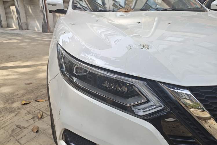 Used Nissan Qashqai 2019 2.0L CVT Luxury Edition