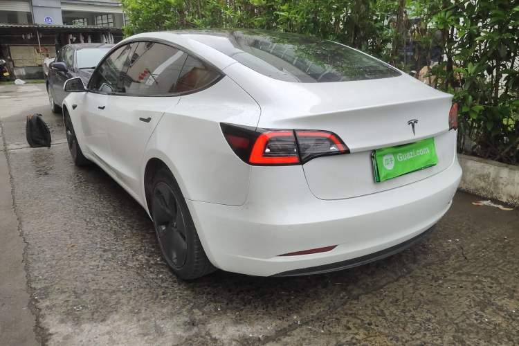 Used Tesla Model 3 2019 Long-Range All-Wheel-Drive Version Rear Left 45 Deg