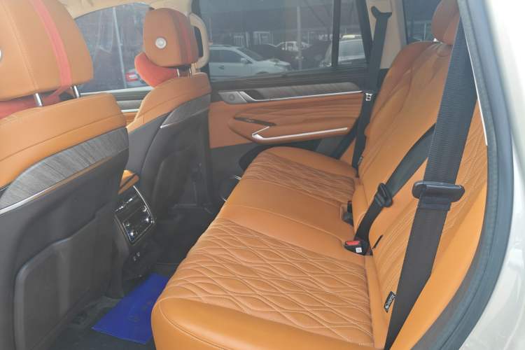 Used Tank 500 New Energy 2024 Hi4-T Left Rear Seat