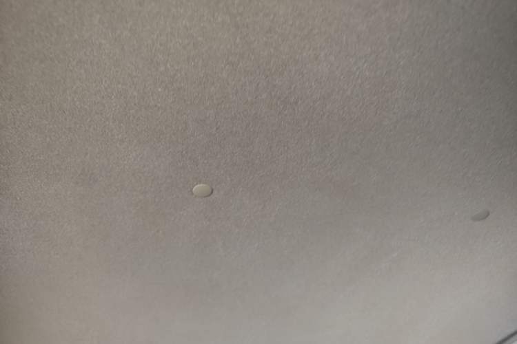 Used Toyota YARiS L Zhi Xiang 2019 1.5E CVT Dynamic Edition China VI compliant Headliner