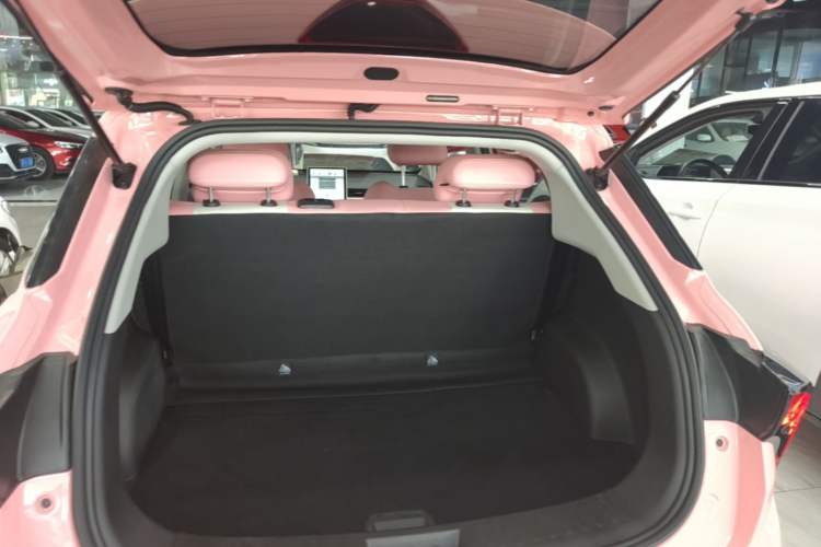 Used NETA V 2021 Witch Edition
