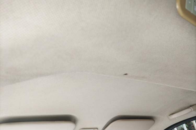 Used Wuling Rongguang V 2016 1.5L Standard Version Headliner