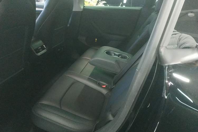 Used Tesla Model Y 2021 Standard Range Rear-Wheel Drive Version
