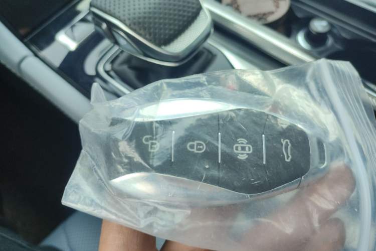 Used Hongqi H5 PHEV 2025 170 Super Hybrid Version
