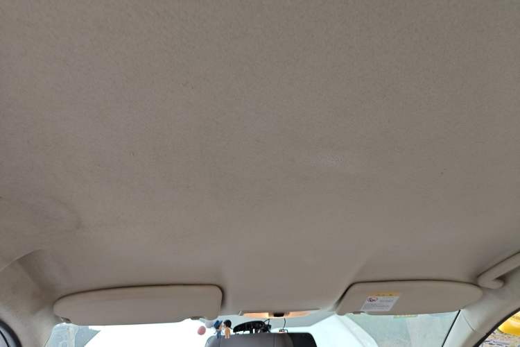 Used Ford Focus 2013 Sedan Classic 1.8L Manual Base Model Headliner