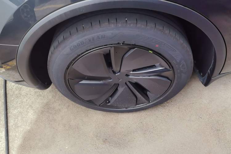 Used Tesla Model Y 2025 Rear-Wheel-Drive Version Exterior 5