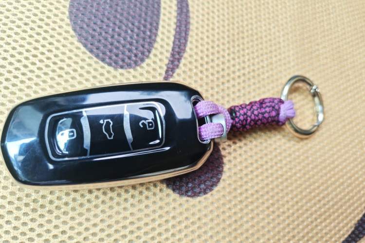Used Geely Galaxy Panda 2023 Panda Mini 200km Endurance Bear