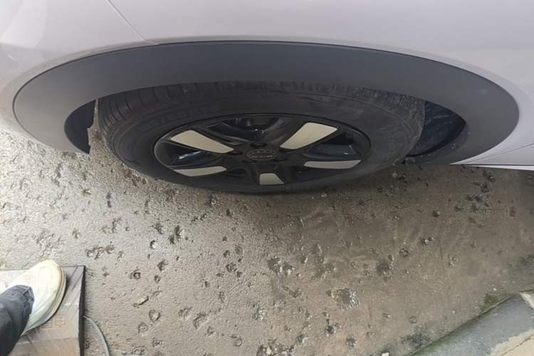 Used BYD Dolphin 2025 Intelligent Driving Version 410 km Fashion Edition