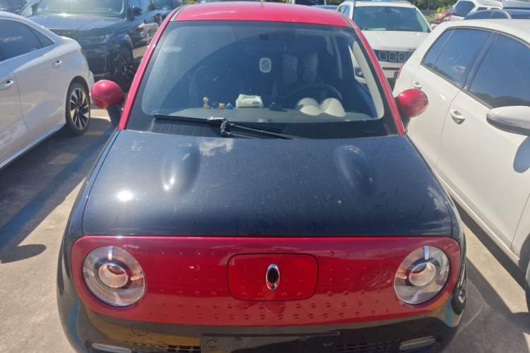 Used ORA Black Cat 2021 351 km Standard Version