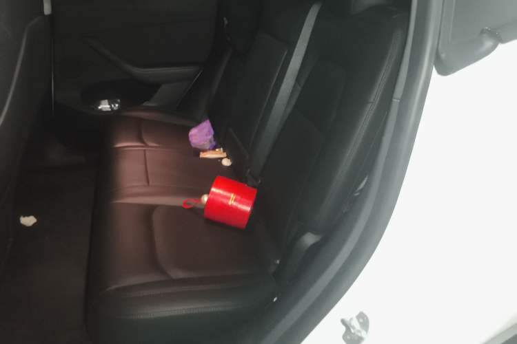 Used Tesla Model Y 2021 Long-Range All-Wheel-Drive Version