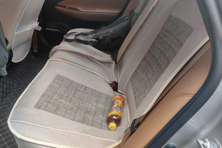 Used AION S Plus 2026 Model Comfort Edition Left Rear Seat