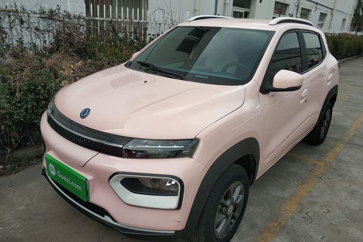 Used Dongfeng NAMMI EX1 2023 PRO Light Wind Edition Lightning Model