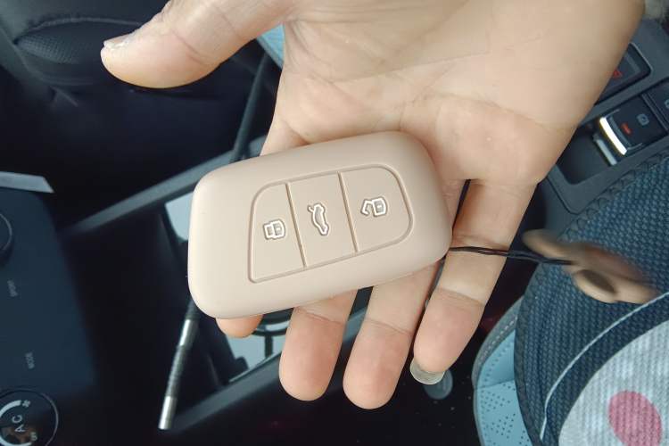 Used Chery QQ Little Ant 2024 Revised Version Youth Edition 251 km True Love Edition 25.05 kWh Interior 1