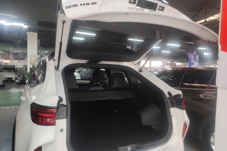 Used Haval H6S 2022 2.0T Two-Wheel Drive ZhiRun Version