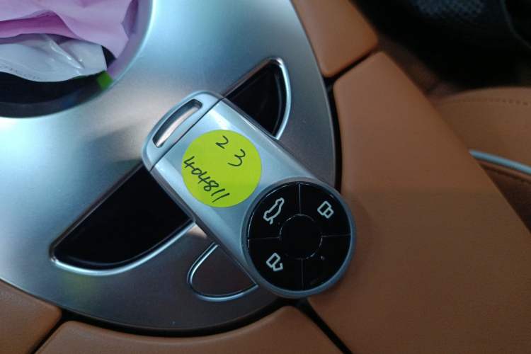 Used ORA Lightning Cat 2022 555 km Luxury Edition
