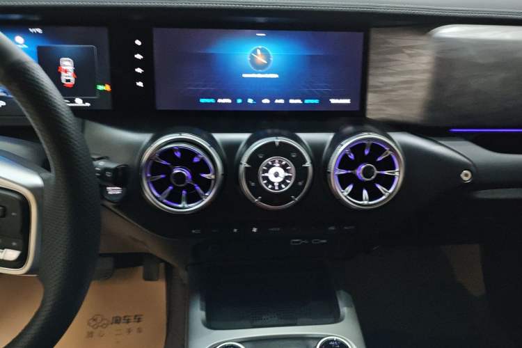 Used Tank 300 2024 2.0T Conqueror
