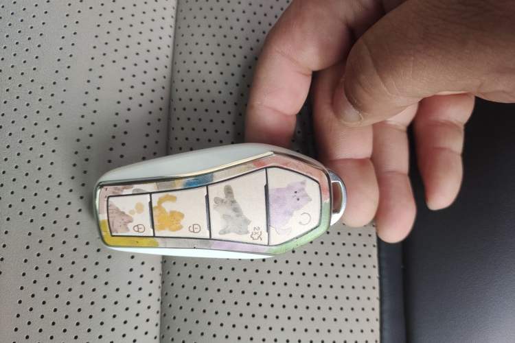 Used BYD Dolphin 2025 Smart Drive Version 420 km Freedom Edition