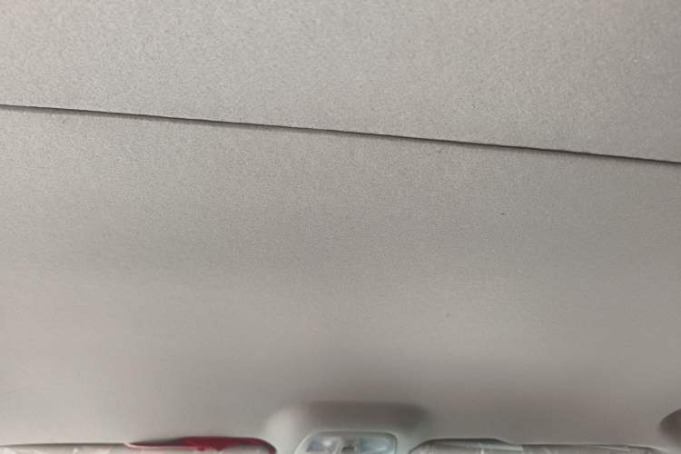 Used SAIC MAXUS G10 2025 2.0L Manual Multi-Function Version Gasoline 7 Seats Headliner