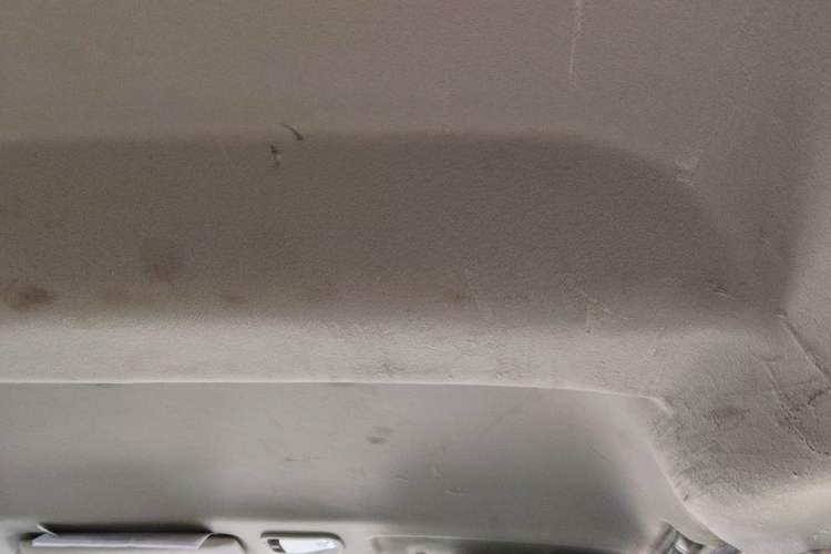 Used FORTHING Lingzhi 2022 M5 1.6L Practical 7-Seater Headliner