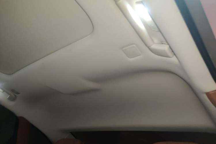 Used Hongqi H9 2020 2.0T Smart Connect Flagship Edition