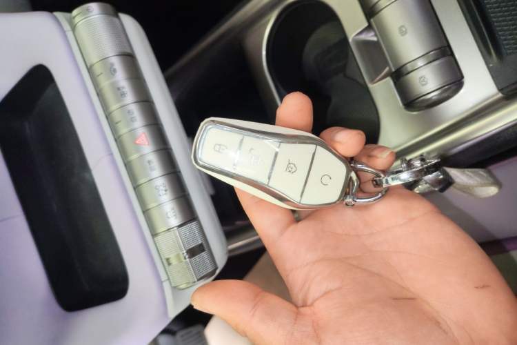 Used BYD Dolphin 2021 401km Knight Edition Vehicle Key