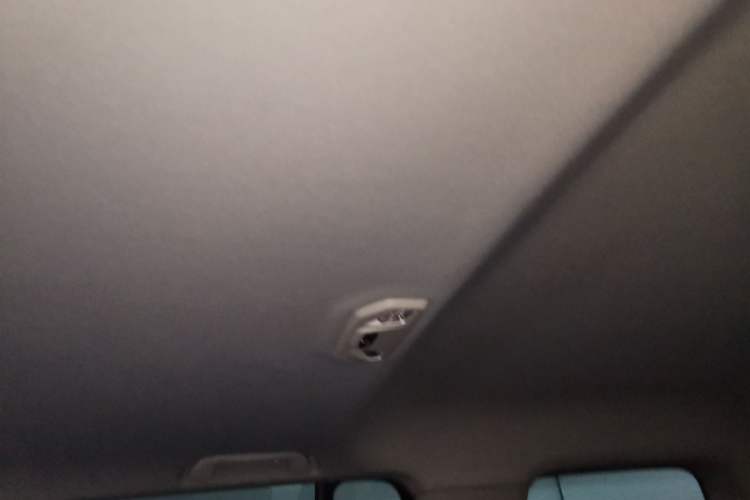 Used Tank 300 2021 Off-Road Edition 2.0T Conqueror